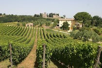 Experience wine tasting at Madonna del Latte