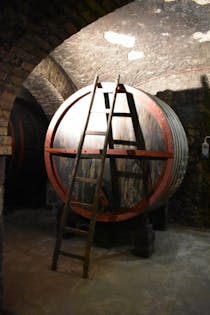 Spend an afternoon at MUVIS Wine Museum