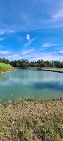Dine at Caffè Il Borghetto