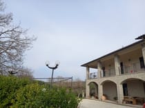 Dine at Agriturismo La Vite E L'ulivo