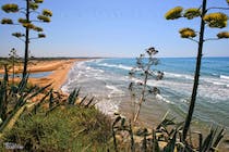 Soak up the sun from Santa Maria del Focallo Beach