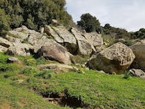 Take a stroll through the Serene Bosco di Scorace