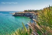 Explore the scenic cliffs and clear waters of Oasi Gelsomineto