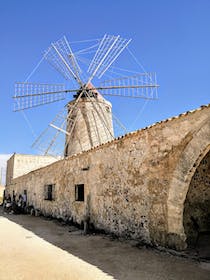 Explore the Salt Museum