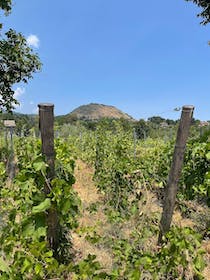 Explore MontataGrande - AgricolTour & Gusteria dell’Etna