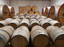 Experience the Authenticity of Cantina Marilina