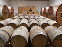 Experience the Authenticity of Cantina Marilina