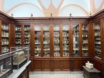 Explore Antica Farmacia Cartia