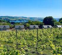 Sample local wines at Old Walls Vineyard