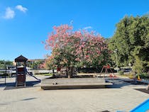 Explore Parco San Nicolò