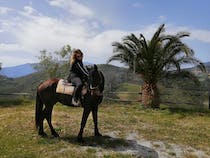 Ride through Sicily's vine fields with Sicily Horse Tours