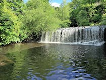 Explore the Tranquil Water of Leith Walkway