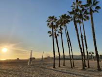 Experience the Vibrant Venice Boardwalk