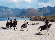 Experience horseback riding and more at Rancho Grande Park