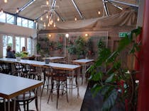 Eat Healthy at Tanya's Cafe