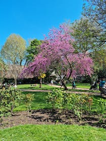 Relax in St Luke’s Gardens