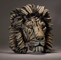 Explore Haddon Galleries