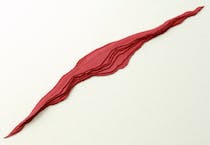 Browse the art collection at Ivorypress