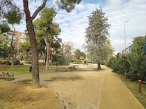 Relax with an afternoon at Avenidas Park