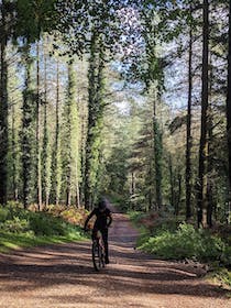 Experience the thrills of Forest of Dean Cycle Centre