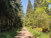 Explore Cyril Hart Arboretum