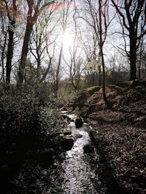 Discover St. Anthony's Well