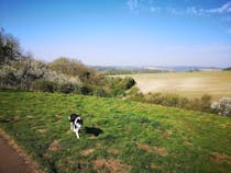 Explore Milldown Nature Reserve