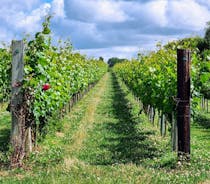 Find Langham Wine Estate and Vineyard