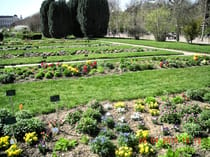 Watch the seasons change at Jardin des Plantes