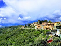 Explore the stunning Parco delle Terme