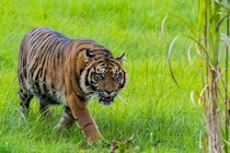Discover Manor Wildlife Park