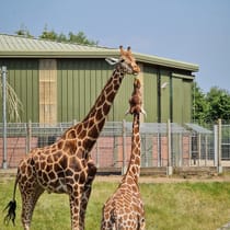 Explore Banham Zoo