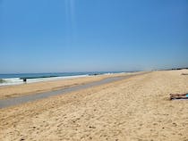 Enjoy the pristine beauty of Praia da Lota
