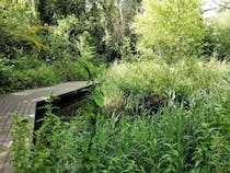 Relax in Gunnersbury Triangle Nature Reserve