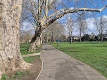Take a stroll through Barnes Green Park