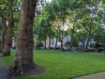 Enjoy a relaxing stroll at Pimlico Gardens