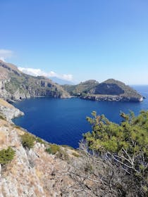 Explore the Marine-Protected Area of Punta Campanella
