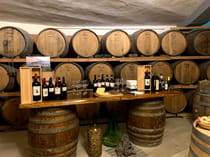 Experience a wine tasting at Winery De Angelis
