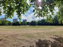 Spend an afternoon at the versatile Paddington Recreation Ground