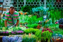 Explore New Covent Garden Market