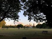 Take a morning stroll in Shoreditch Park