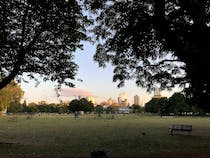 Take a morning stroll in Shoreditch Park