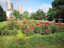 Explore the tranquillity of Leathermarket Gardens