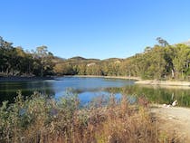 Relax at Turtle Lake