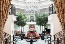 Discover the best dim sum at Shang Palace