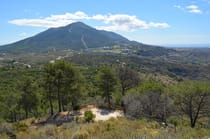 Take in the panoramic views at Mirador de Cerro Alaminos