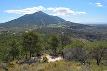 Take in the panoramic views at Mirador de Cerro Alaminos