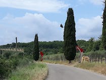 Explore Parco Sculture del Chianti