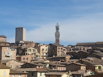 Take in the panoramic views at Fortezza Medicea