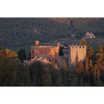Explore the historic Castello di Brolio